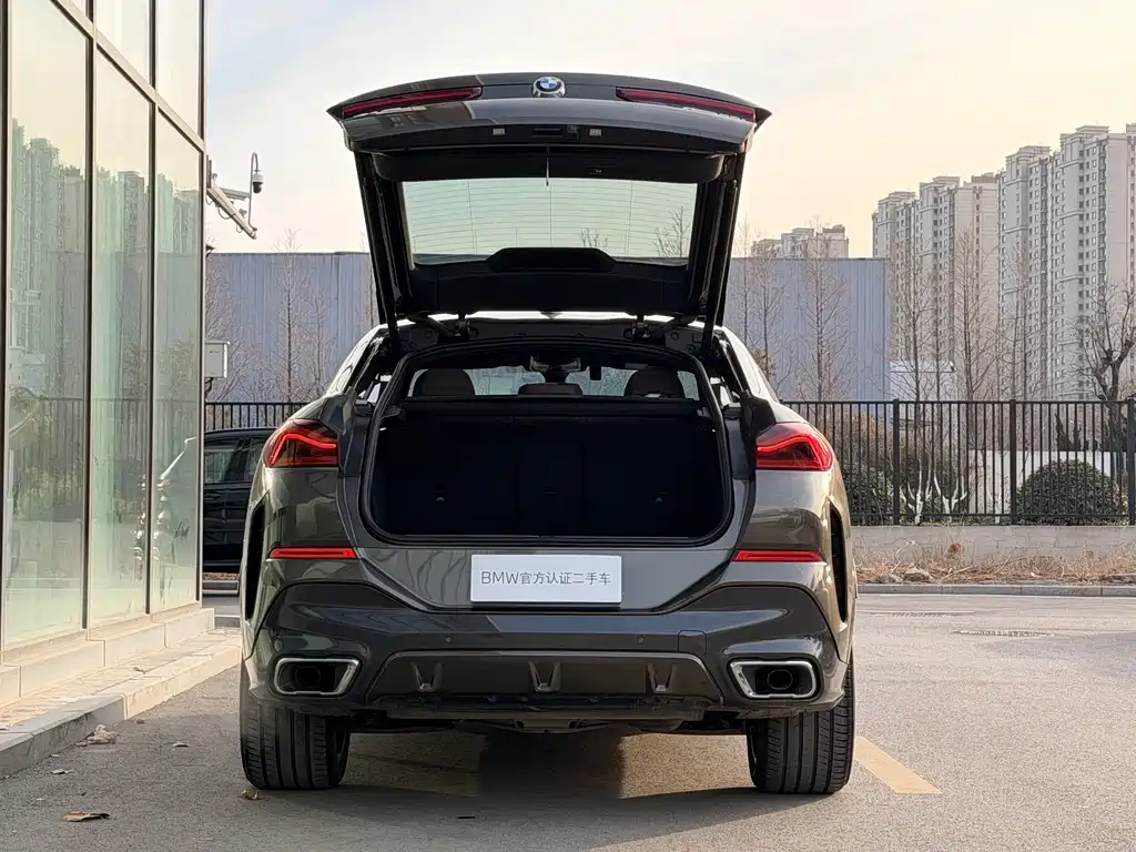 BMW X6 2020 — фото 29