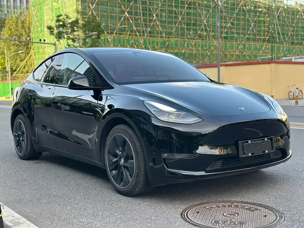 Tesla Model Y 2021 — фото 3