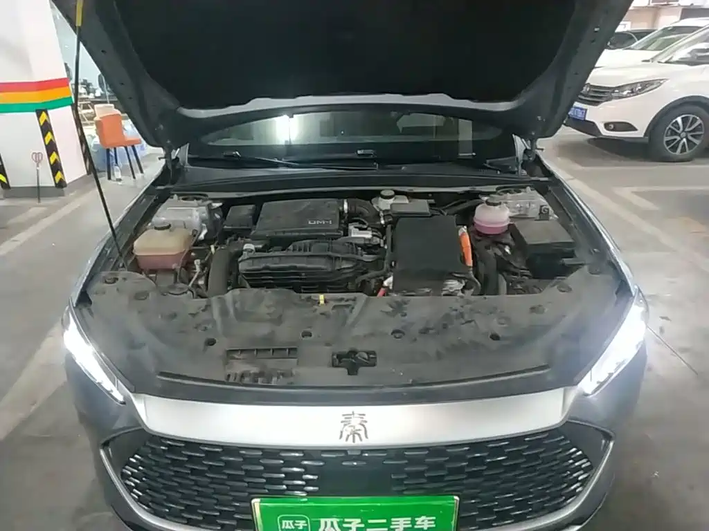 BYD Qin PLUS 2023 — фото 20