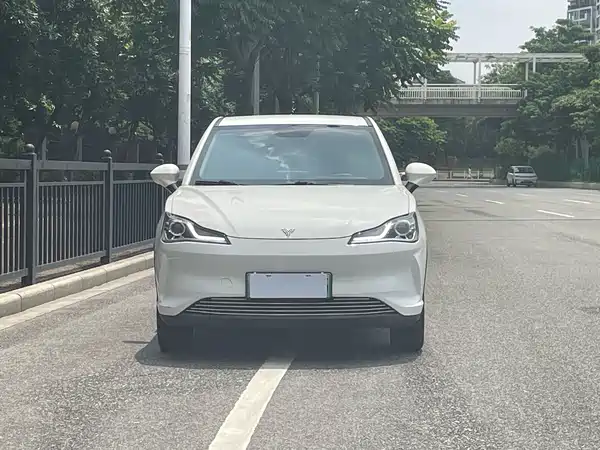 Neta V 2022