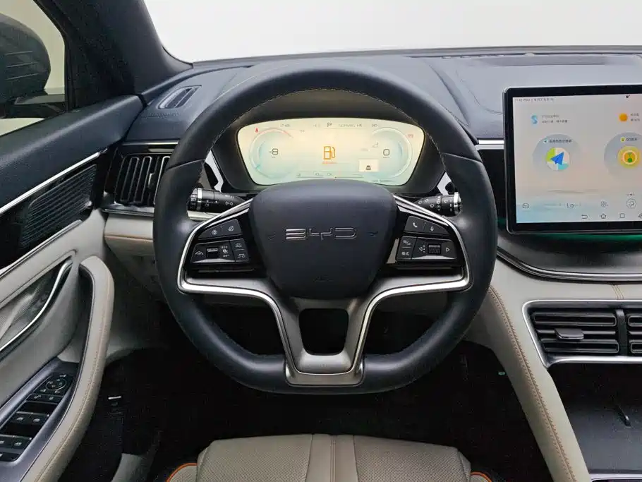 BYD Song PLUS New Energy 2024 — фото 15