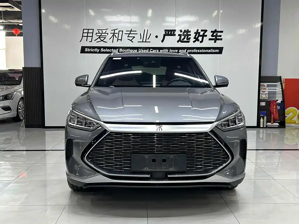 BYD PLUS New Energy 2022 — фото 1