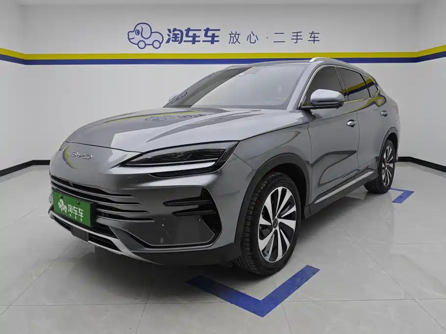 BYD Song PLUS New Energy 2024 — фото 1