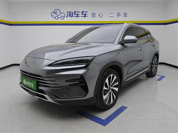 BYD Song PLUS New Energy 2024
