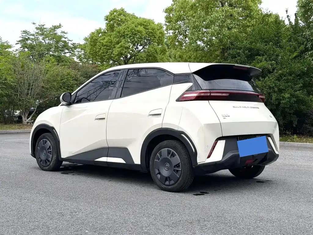 BYD Seagull 2023