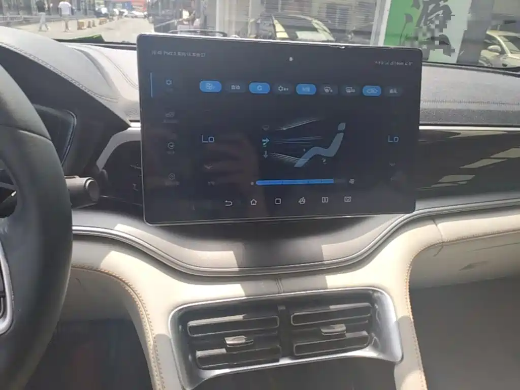BYD PLUS New Energy 2022 — фото 13