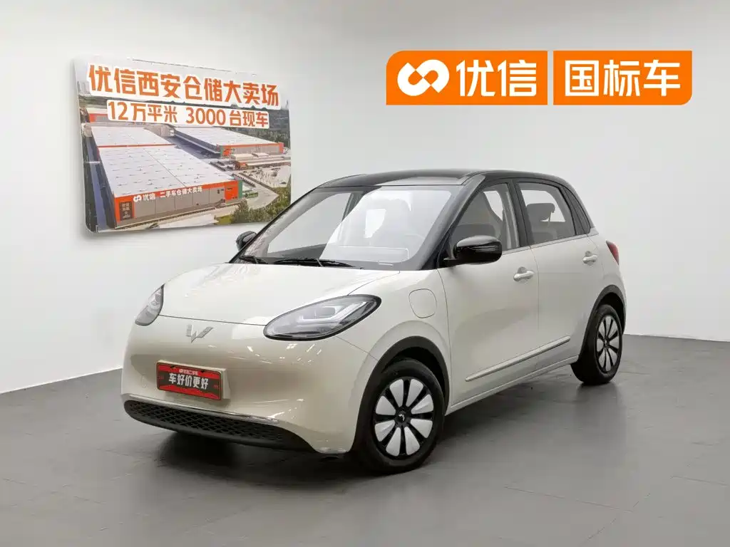 Wuling Bingo 2024