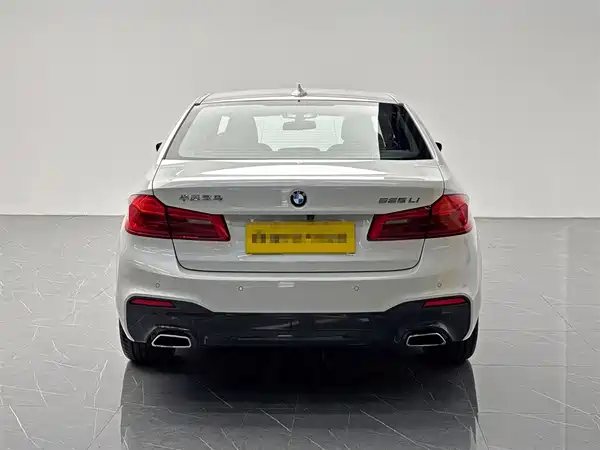 BMW 5 Series 2019