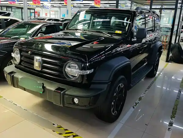 Tank 300 New Energy 2025