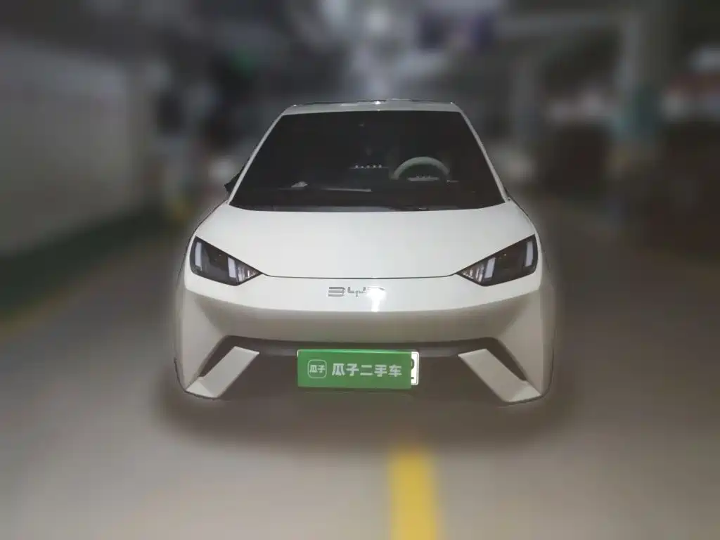BYD Seagull 2024