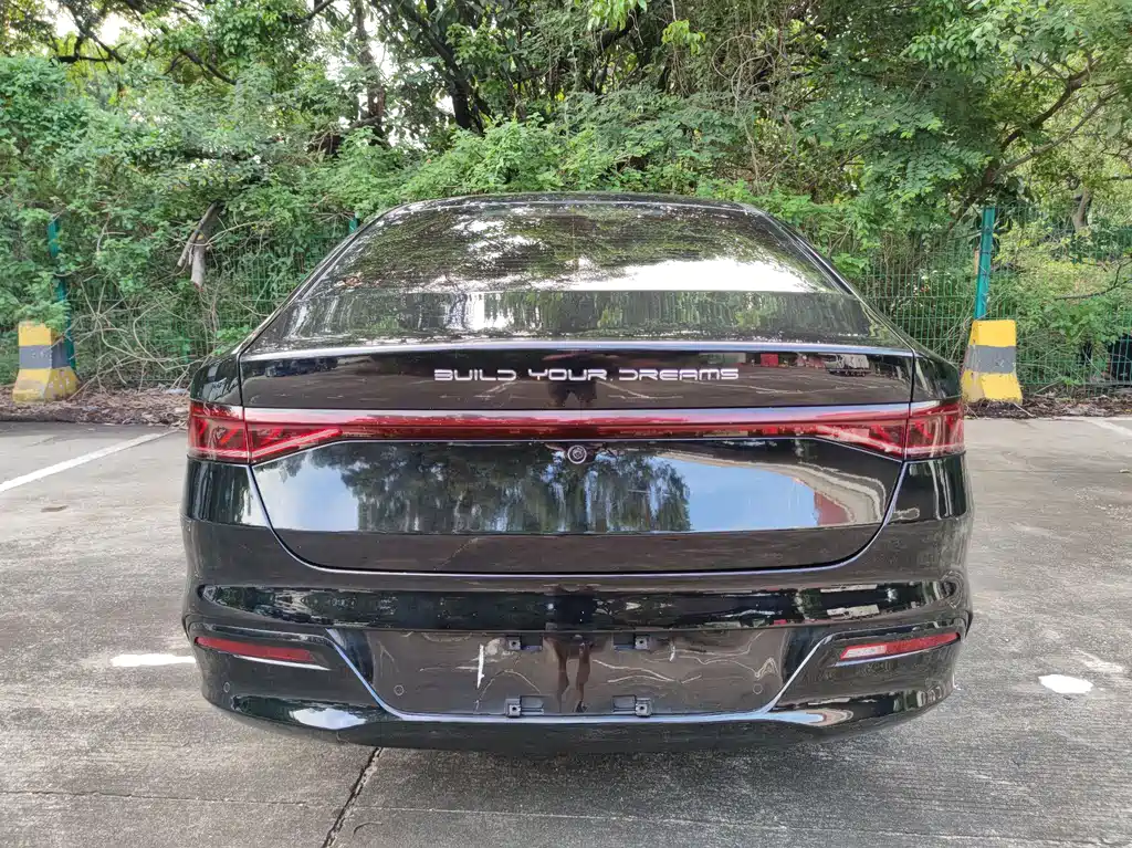BYD Qin PLUS 2021