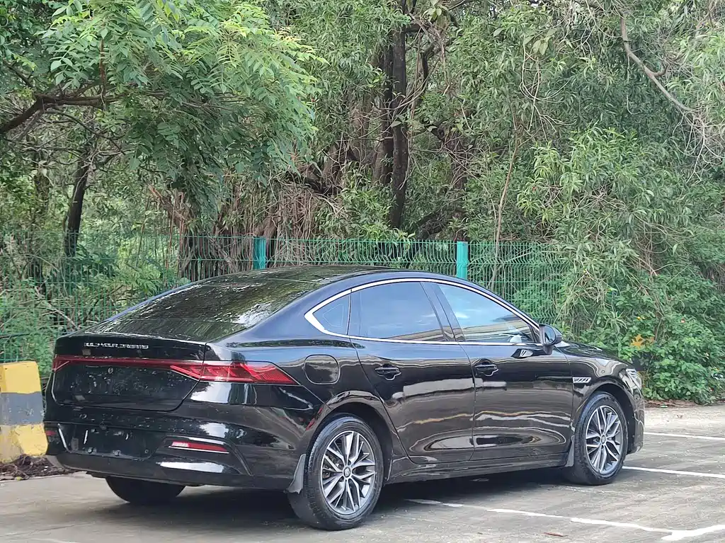 BYD Qin PLUS 2021