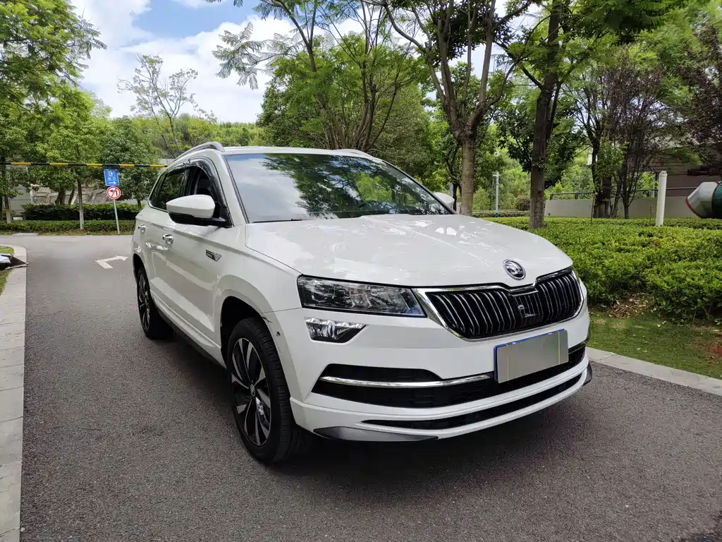 Skoda Karoq 2022 — фото 3