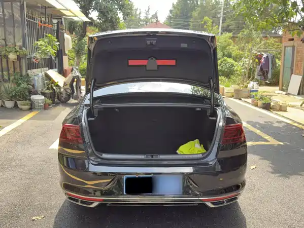Volkswagen Magotan 2024