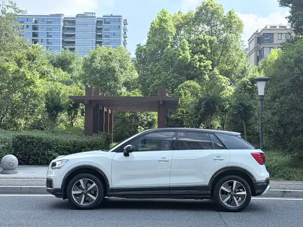 Audi Q2L E-Tron 2020