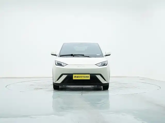 BYD Seagull 2024