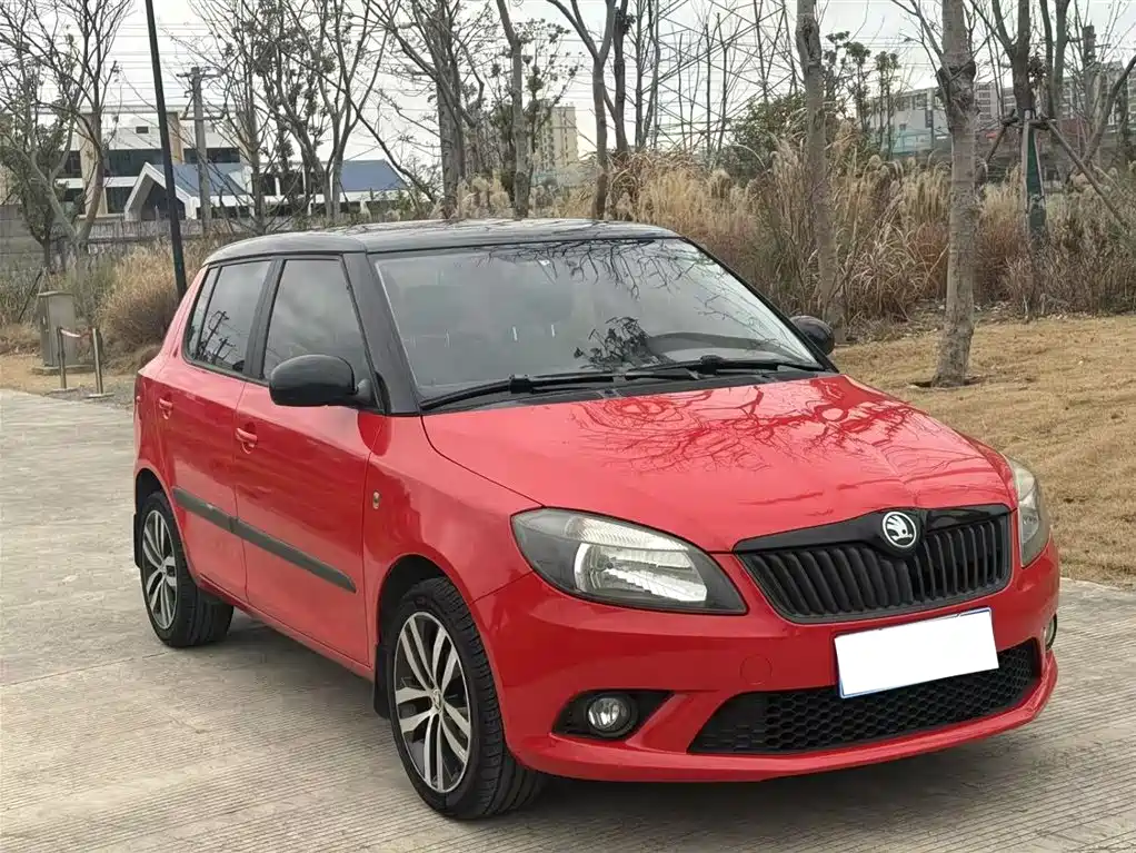 Skoda Fabia 2014 — фото 3