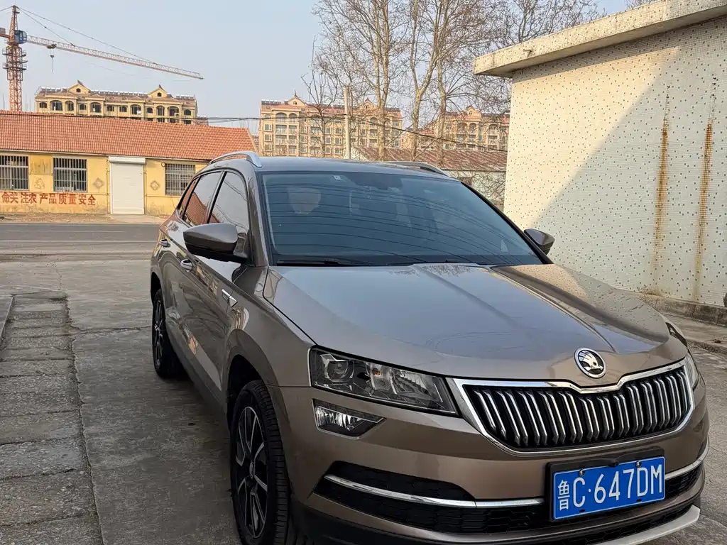 Skoda Karoq 2021 — фото 3