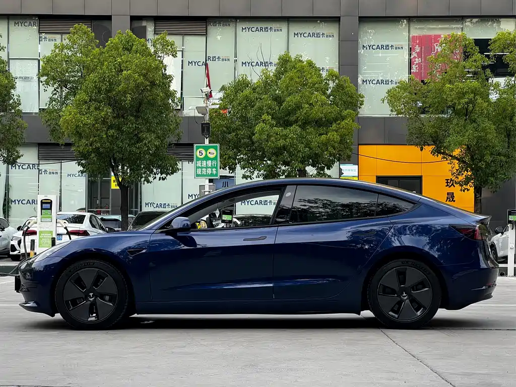 Tesla Model 3 2021