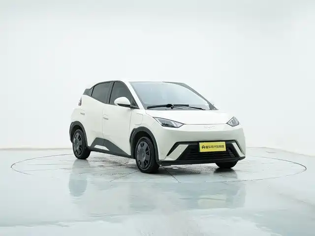 BYD Seagull 2024