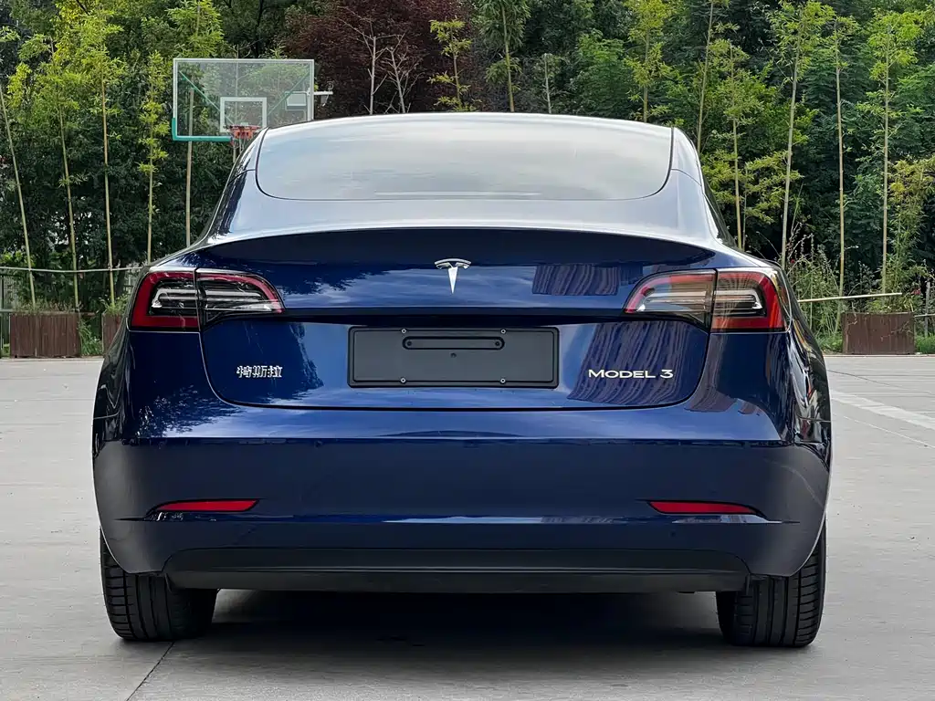 Tesla Model 3 2021