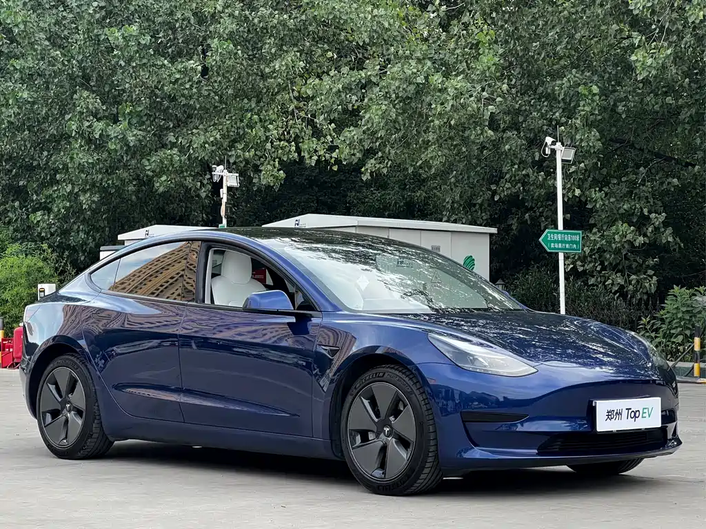 Tesla Model 3 2021