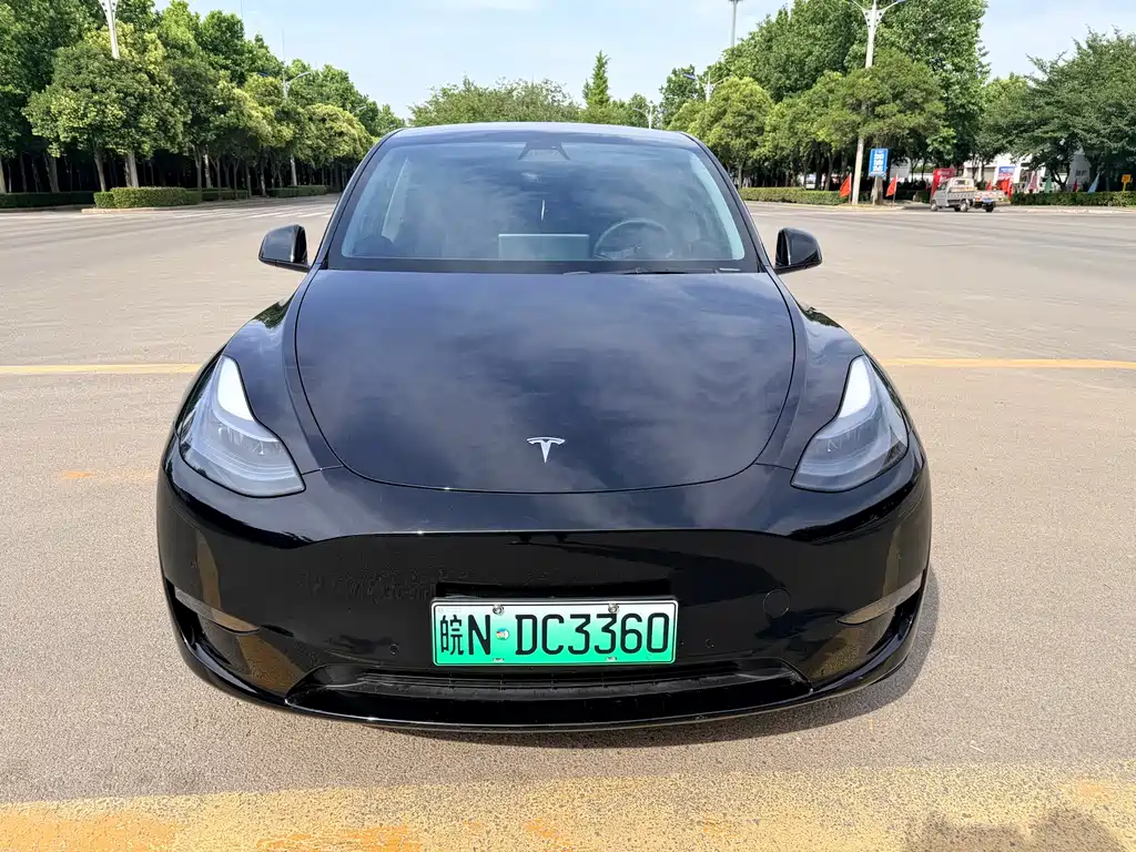 Tesla Model Y 2023 — фото 2
