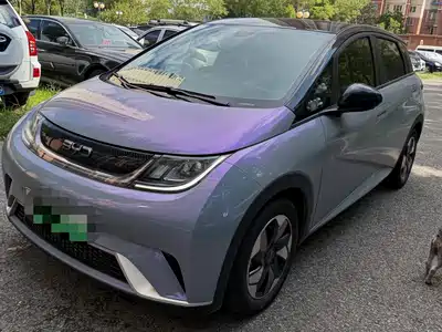 BYD Dolphin 2024