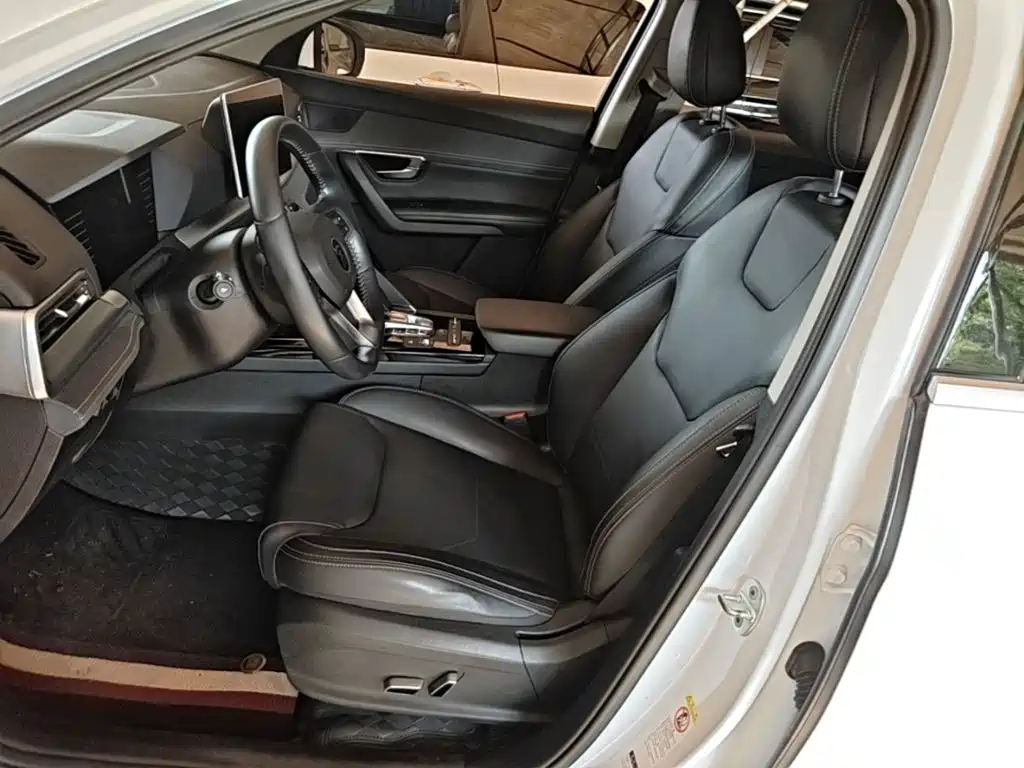 BYD Song Pro New Energy 2019 — фото 15