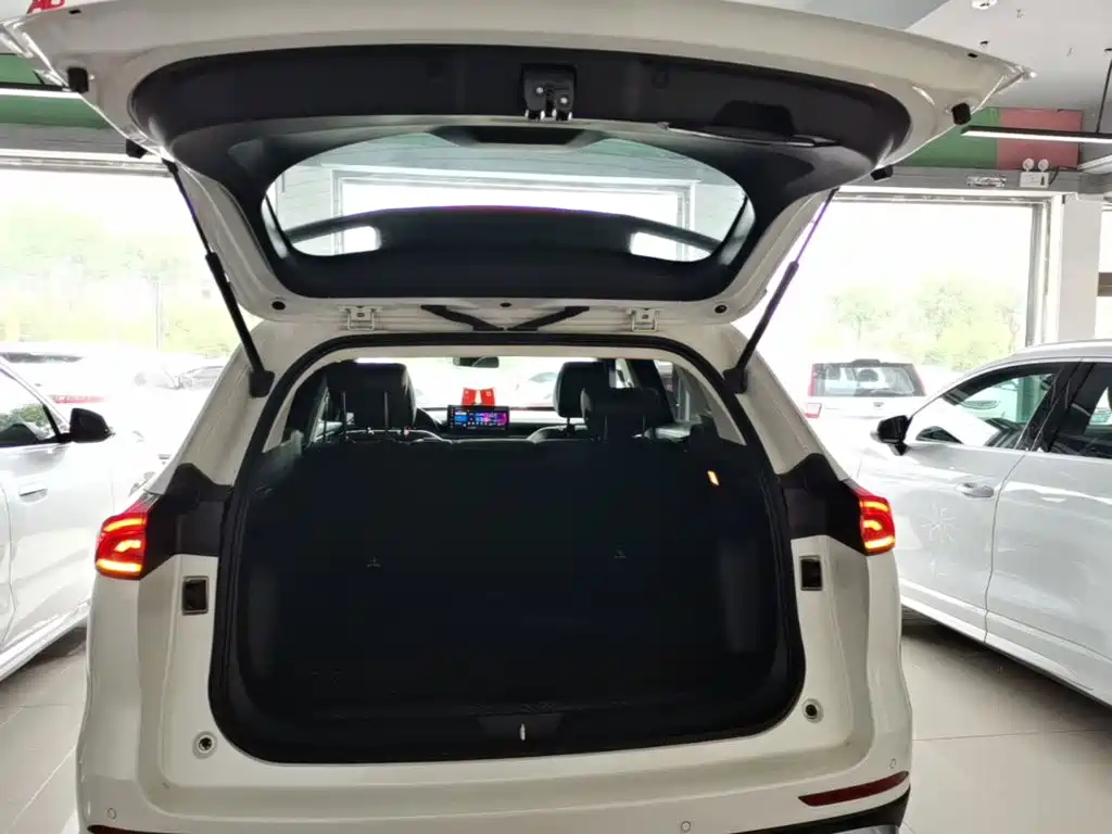 Haval H6 2023 — фото 19