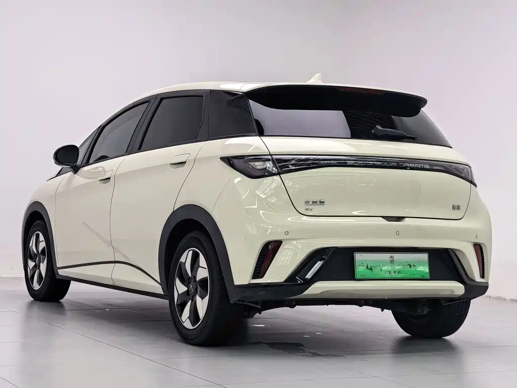 BYD Dolphin 2024