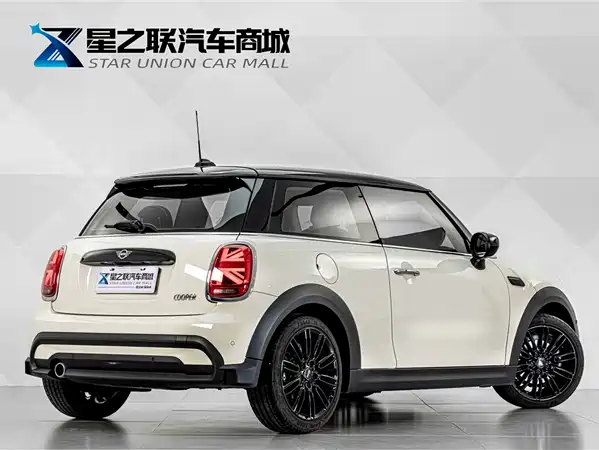 MINI MINI 2021