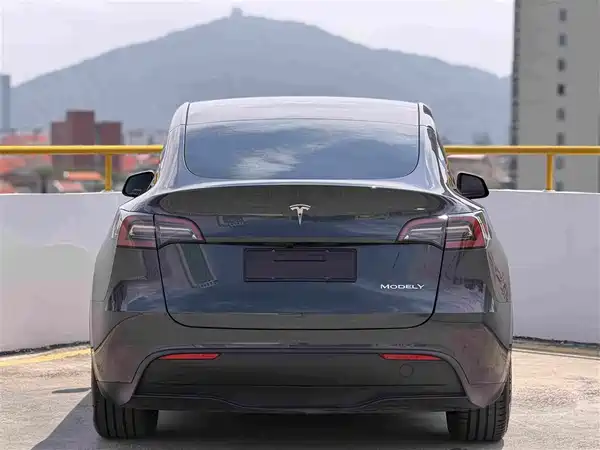 Tesla Model Y 2025