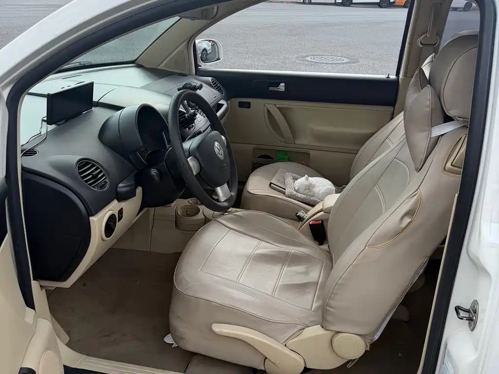 Volkswagen Beetle 2010 — фото 11