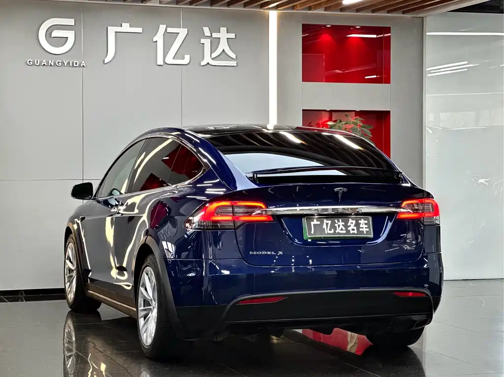 Tesla Model X 2019 — фото 23