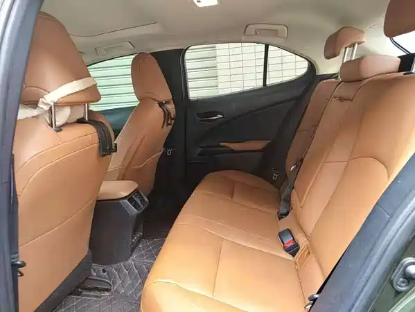 Lexus UX New Energy 2022