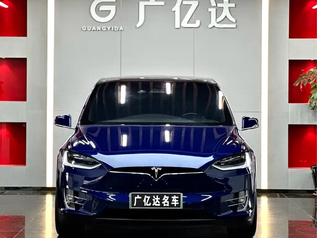Tesla Model X 2019 — фото 2