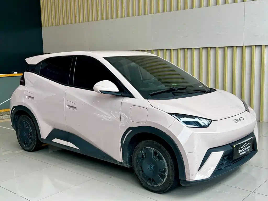 BYD Seagull 2024