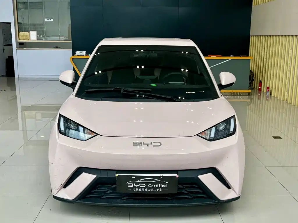 BYD Seagull 2024