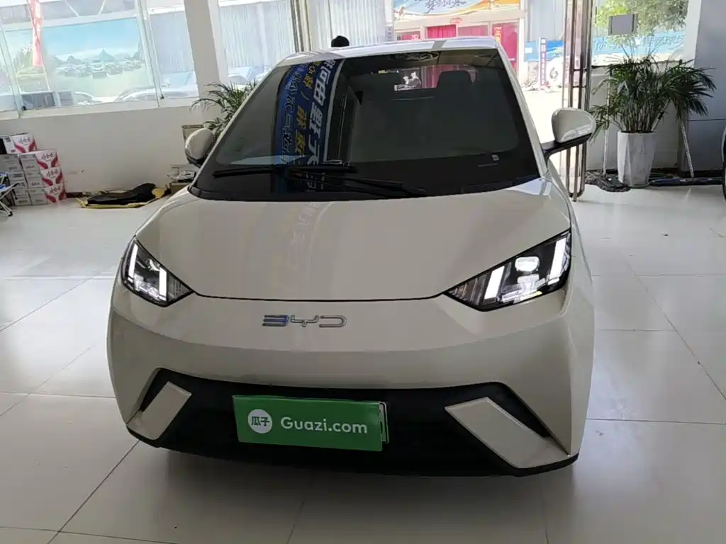BYD Seagull 2024