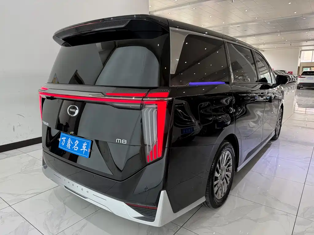 GAC Motor Trumpchi M8 2025 — фото 22