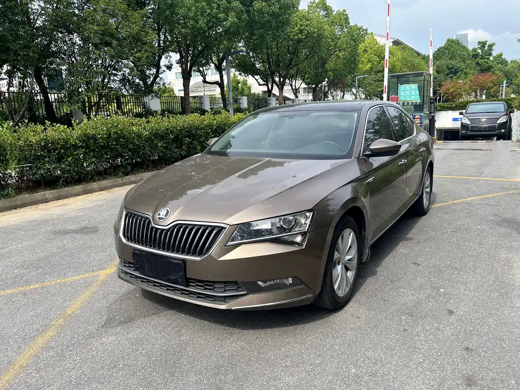 Skoda Speedy 2017