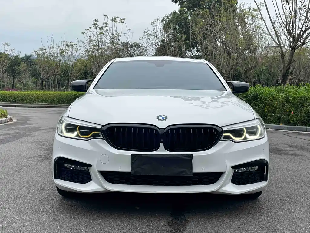 BMW 5 Series 2017 — фото 2