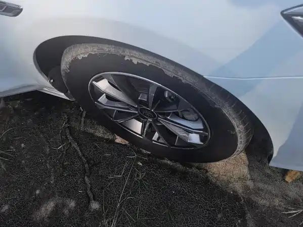 BYD Qin PLUS 2024