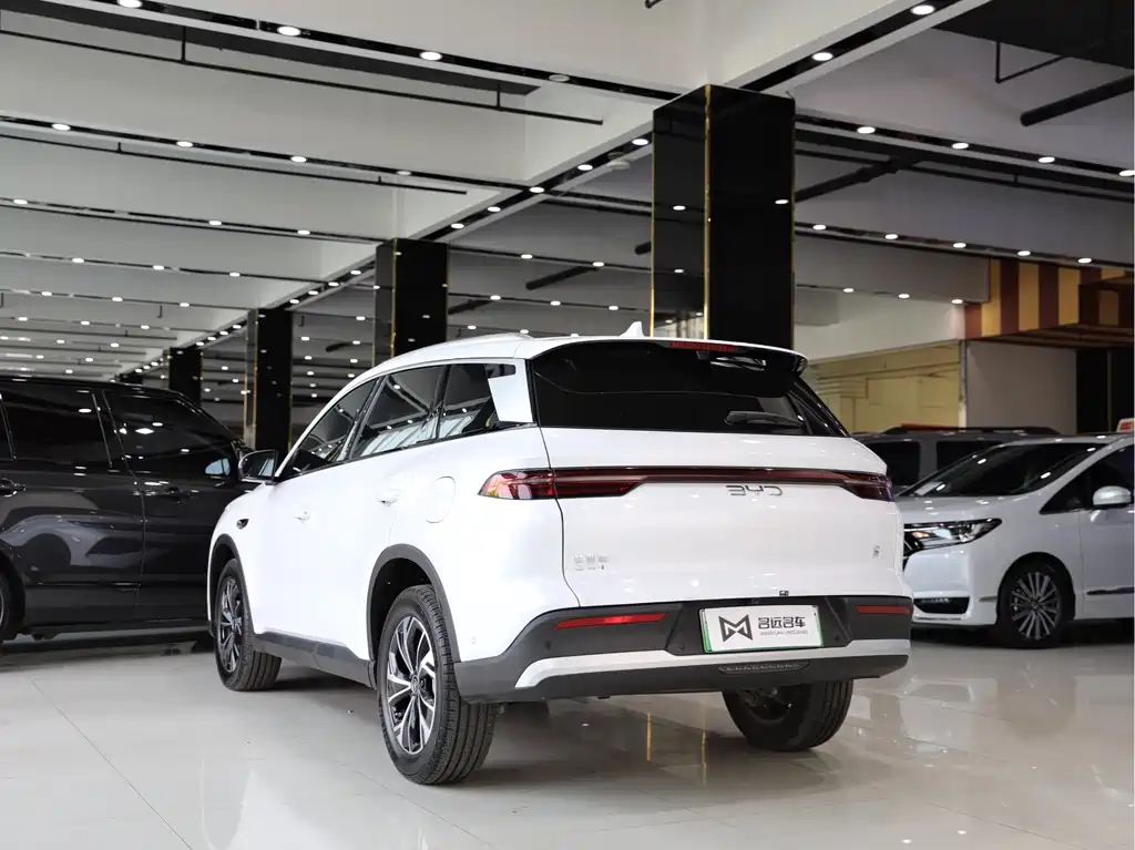 BYD Pro New Energy 2025 — фото 14