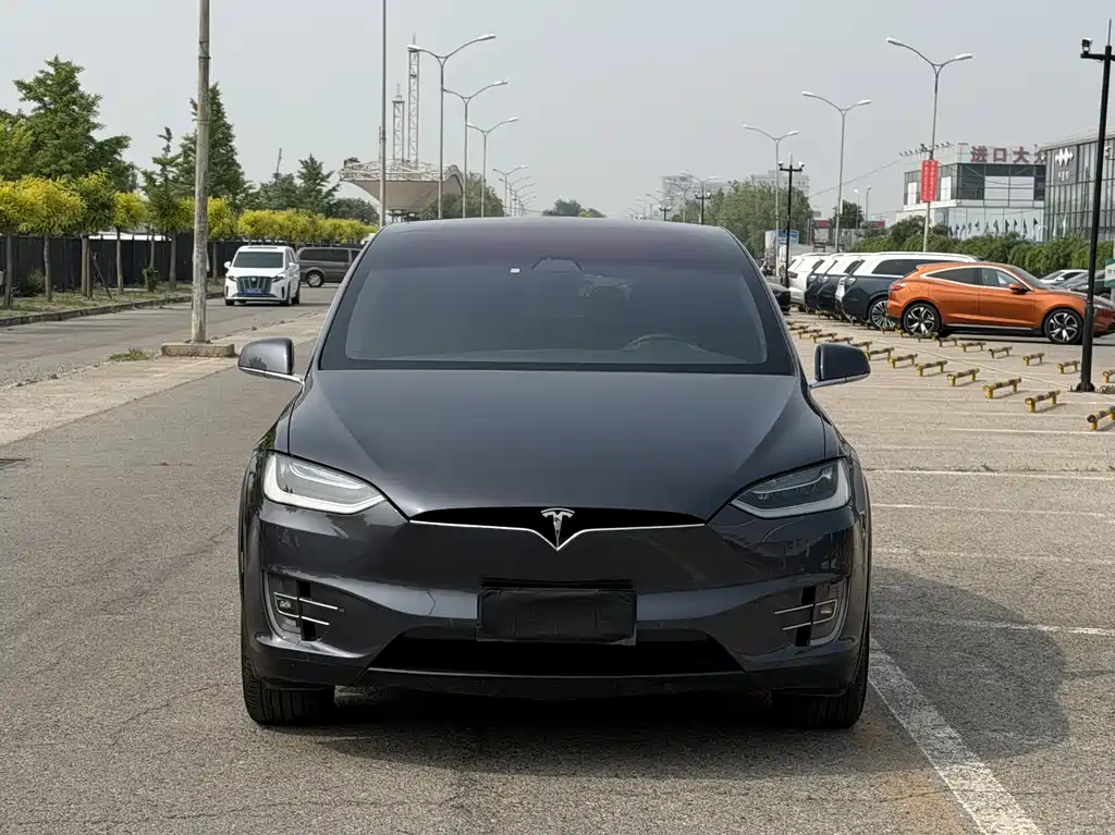 Tesla Model X 2017 — фото 2