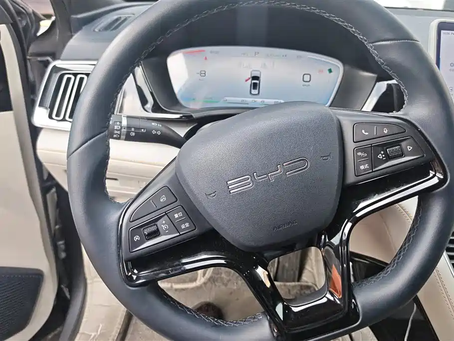 BYD PLUS New Energy 2024 — фото 15