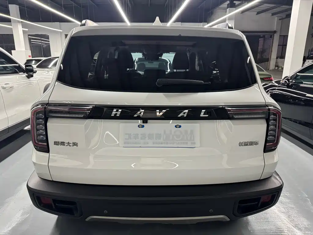 Haval Big Dog 2021 — фото 10