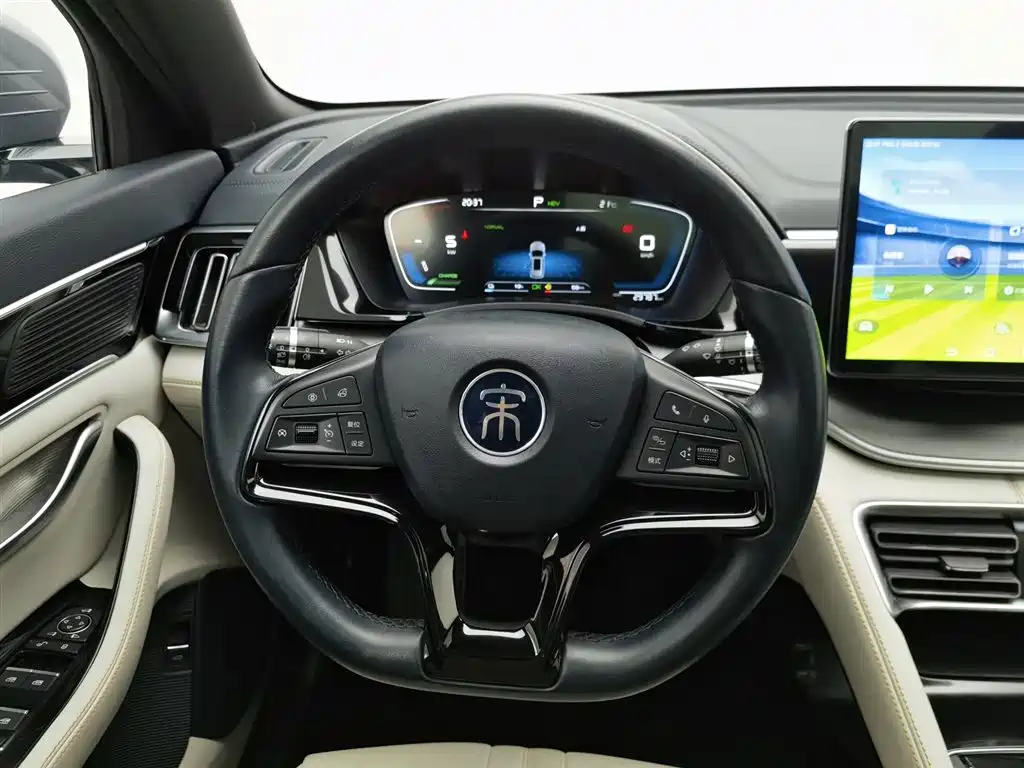 BYD PLUS New Energy 2023 — фото 11