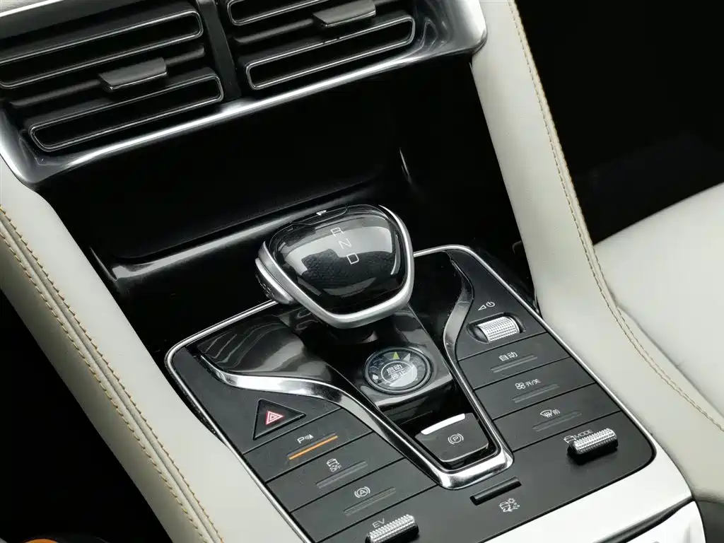 BYD PLUS New Energy 2023 — фото 13